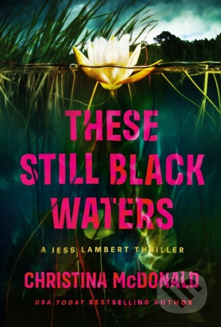 These Still Black Waters - Christina Mcdonald - kniha z kategorie Detektivky, thrillery a horory
