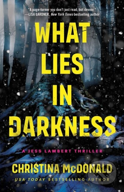 What Lies in Darkness - Christina Mcdonald - kniha z kategorie Detektivky, thrillery a horory