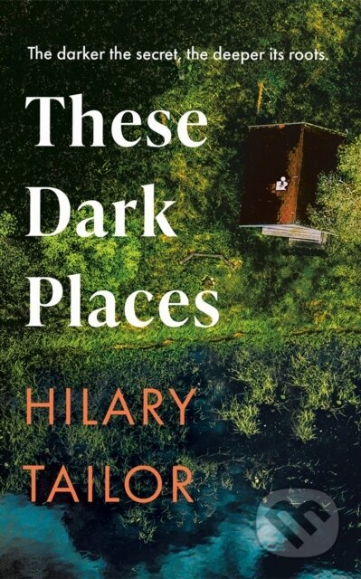 These Dark Places - Hilary Tailor - kniha z kategorie Společenská beletrie