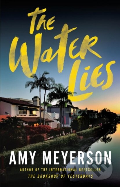 The Water Lies - Amy Meyerson - kniha z kategorie Společenská beletrie