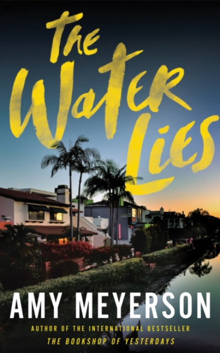 The Water Lies - Amy Meyerson - kniha z kategorie Společenská beletrie