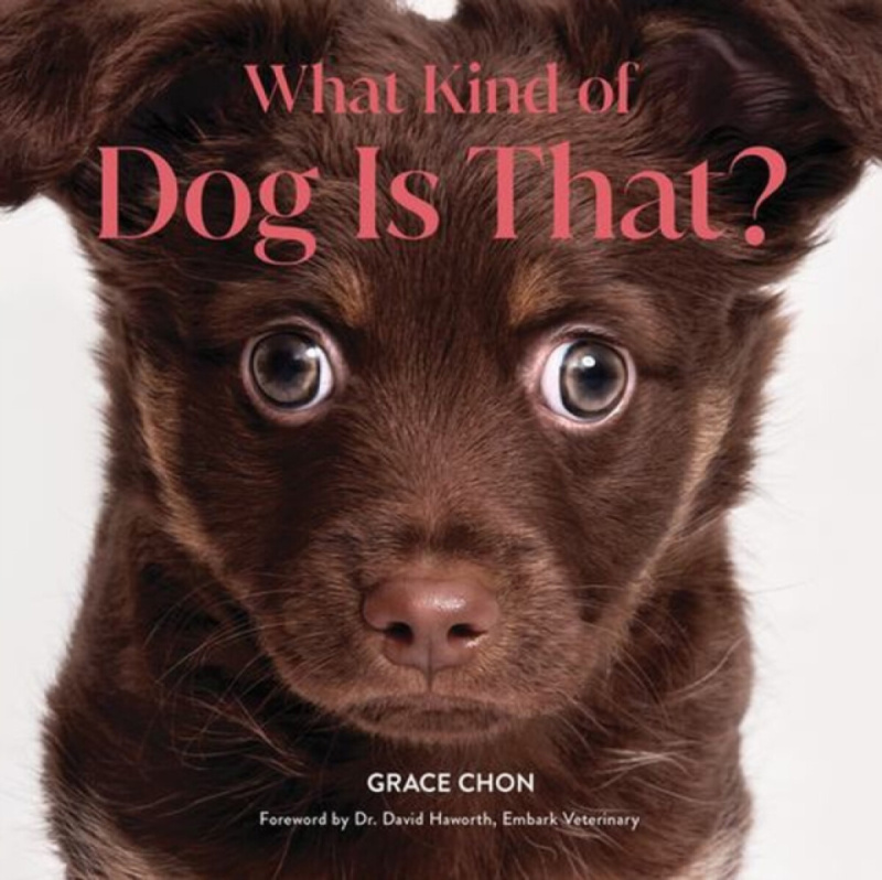 WW Norton & Co What Kind of Dog Is That? - Chon, Grace
