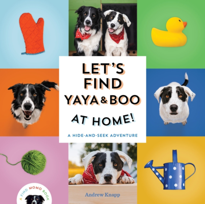 Let's Find Yaya and Boo at Home! - Andrew Knapp