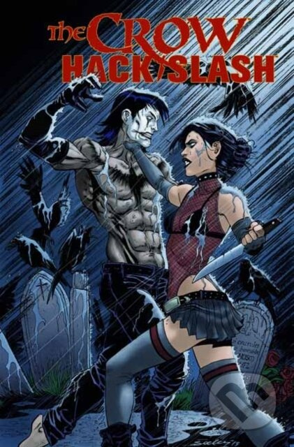 The Crow: Hack/Slash – She Wears Shadows - Tim Seeley, Jim Terry (ilustrácie) - kniha z kategorie Komiksy