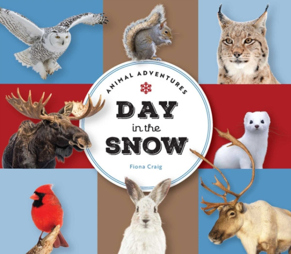 The Collective Book Studio Animal Adventures: Day in the Snow - Craig, Fiona