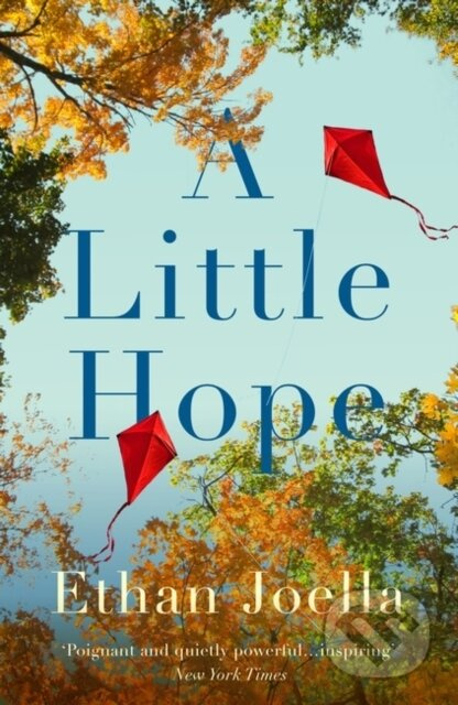 A Little Hope - Ethan Joella - kniha z kategorie Společenská beletrie