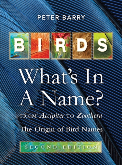 New Holland Publishers Birds: What's in a Name - Barry, Peter