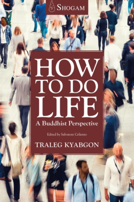 Shogam Publications How To Do Life - Rinpoche IX, Traleg Kyabgon