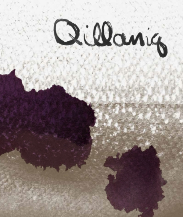 Goose Lane Editions Qillaniq - Piirainen, Jocelyn a Eegeesiak, Ooleepeeka a Williamson, Laakkuluk a Finbog, Liisa-Ravna a Jackinsky-Sethi, Nadia a Partridge, Taqralik