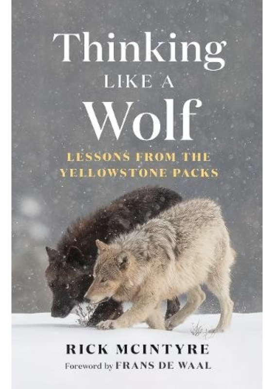 Thinking Like a Wolf, Lessons From the Yellowstone Packs Greystone Books,Canada