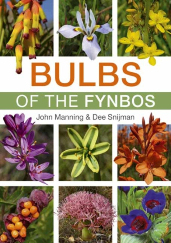 Penguin Random House South Africa Bulbs of the Fynbos - Manning, John a Snijman, Dee