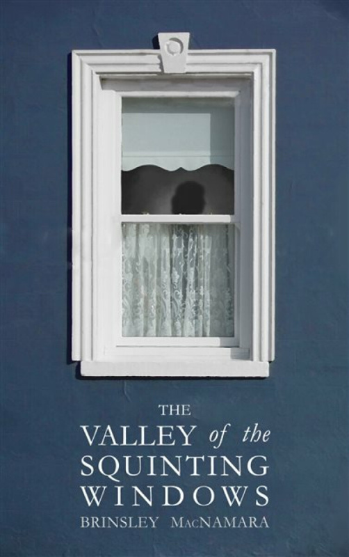 The Mercier Press Valley of the Squinting Windows - McNamara, Brinsley