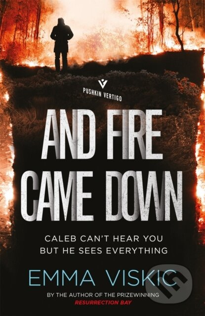 And Fire Came Down - Emma Viskic - kniha z kategorie Detektivky, thrillery a horory
