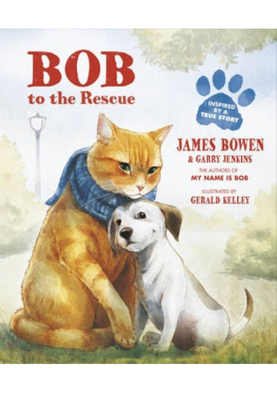 Bob to the Rescue, An Illustrated Picture Book Penguin Random House Children's UK