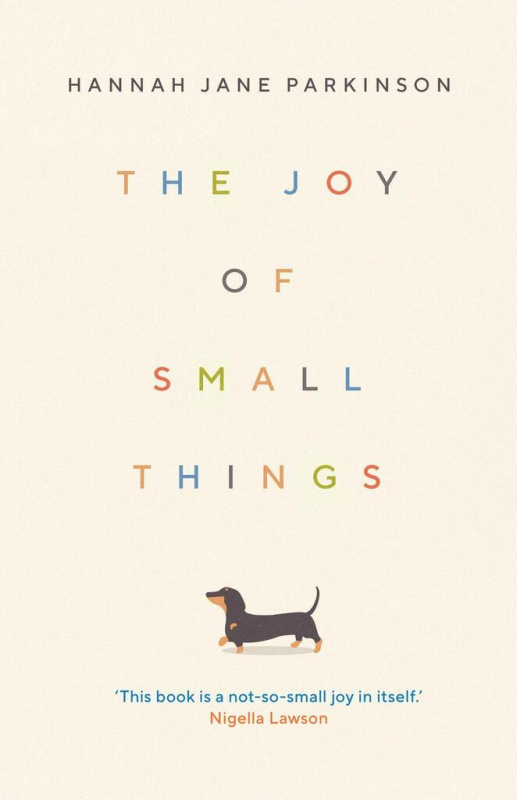 The Joy of Small Things - Hannah Jane Parkinson - kniha z kategorie Motivace a seberozvoj