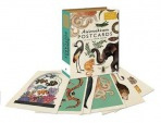 Animalium Postcards Templar Books