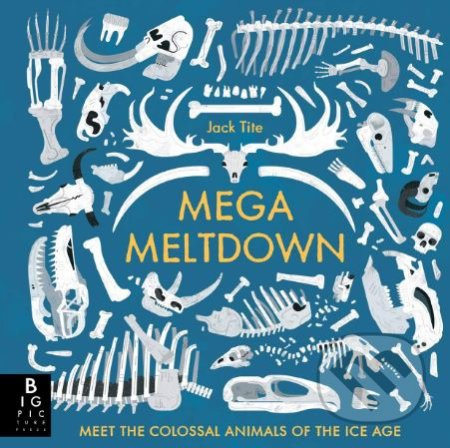 Mega Meltdown - Jack Tite - kniha z kategorie Naučné knihy