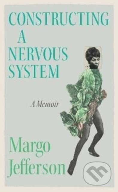 Constructing a Nervous System (Cultural Reckonings) - kniha z kategorie Humanitní a společenské vědy