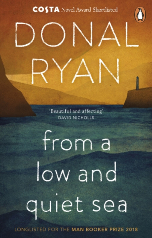 From a Low and Quiet Sea - Donal Ryan - kniha z kategorie Beletrie