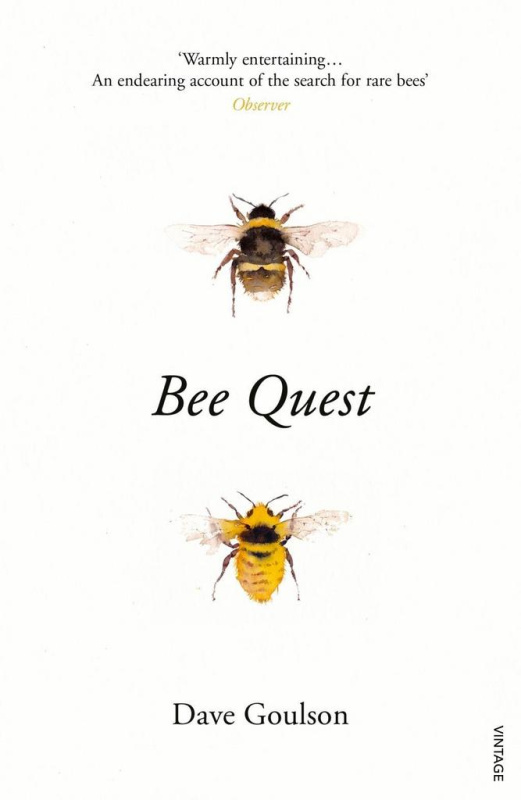 Bee Quest - Dave Goulson - kniha z kategorie Přírodní vědy a technika