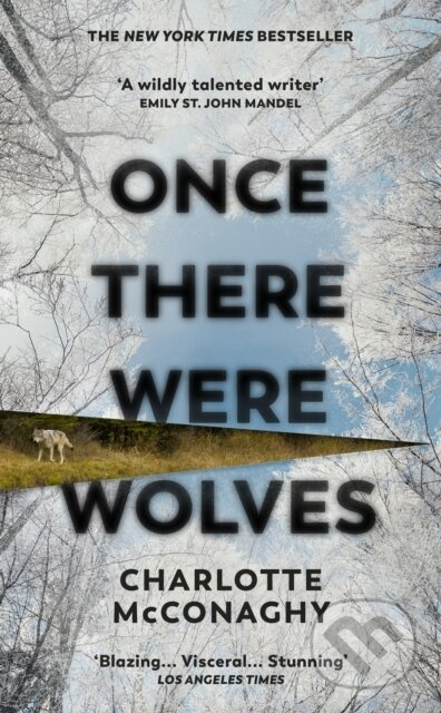 Once There Were Wolves (The instant NEW YORK TIMES bestseller) - kniha z kategorie Společenská beletrie