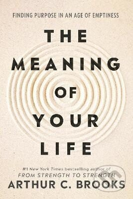 Meaning of Your Life - -