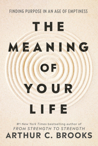 Meaning of Your Life - -