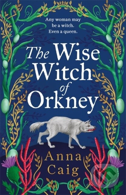 The Wise Witch of Orkney (A spell-binding debut novel about Scotland’s witch-hunting hysteria) - kniha z kategorie Beletria