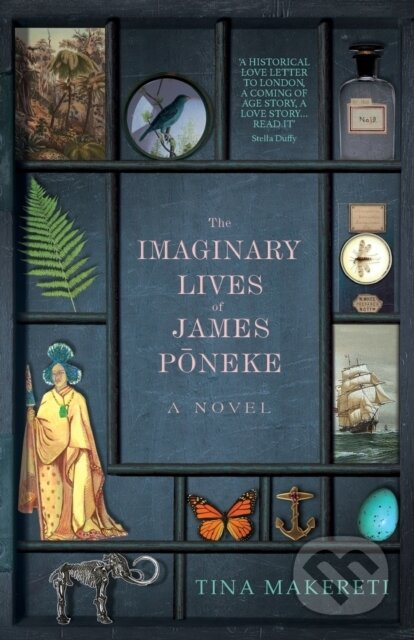 The Imaginary Lives of James Poneke - Tina Makereti - kniha z kategorie Společenská beletrie