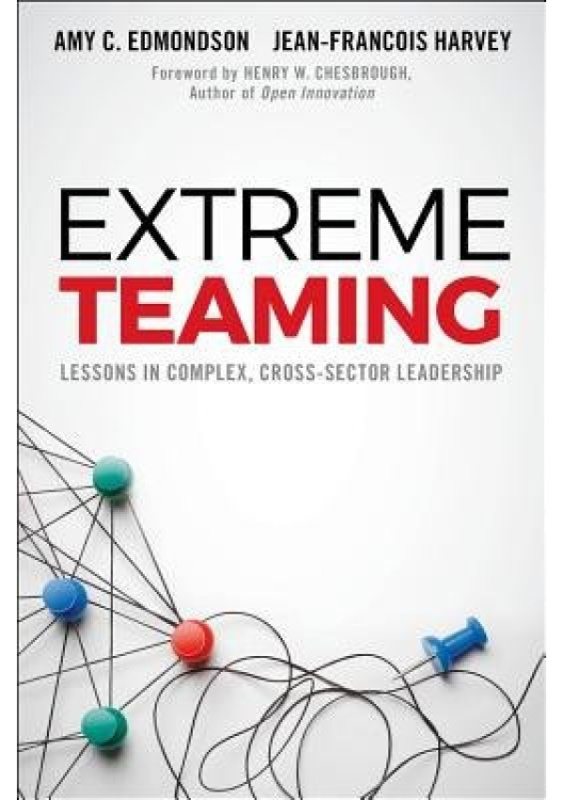 Extreme Teaming, Lessons in Complex, Cross-Sector Leadership Emerald Publishing Limited