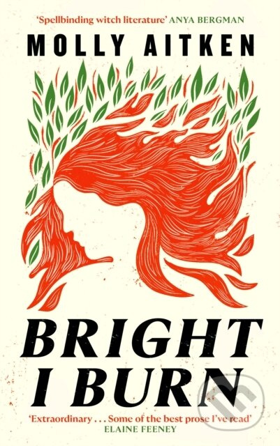 Bright I Burn - Molly Aitken - kniha z kategorie Společenská beletrie