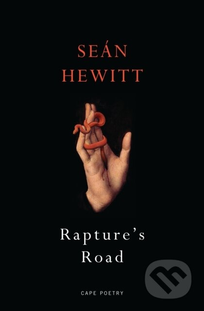 Rapture's Road (from the author of All Down Darkness Wide) - kniha z kategorie Poezie