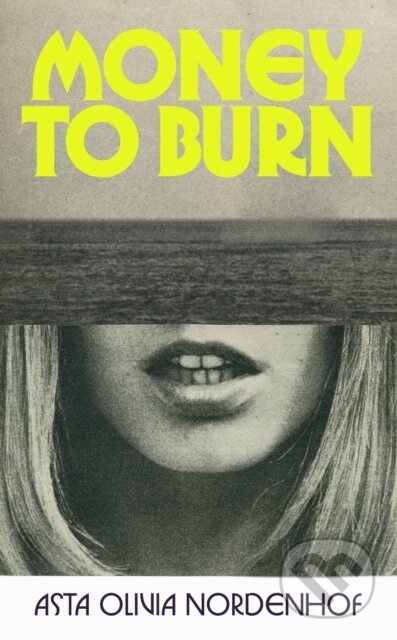 Money to Burn - Asta Olivia Nordenhof - kniha z kategorie Thrillery
