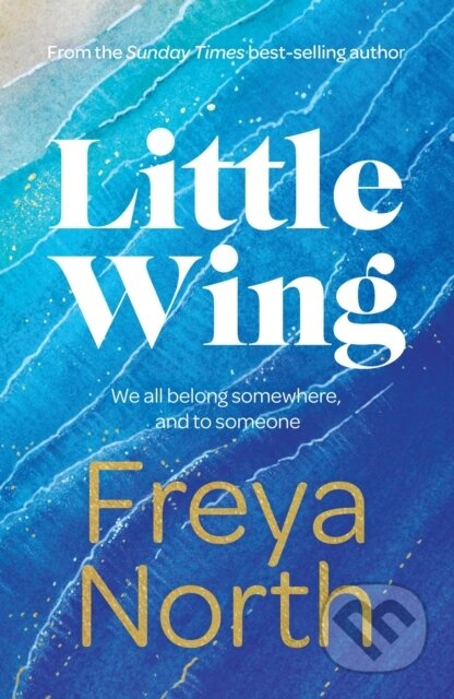 Little Wing (A beautifully written, emotional and heartwarming story)