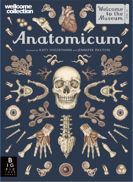 Anatomicum - Jennifer Z. Paxton, Katy Wiedemann (ilustrácie) - kniha z kategorie Naučné knihy