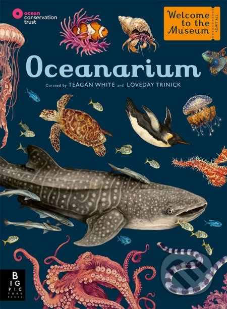 Oceanarium Templar Publishing