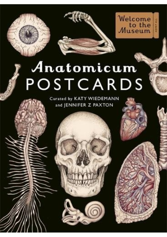 Anatomicum Postcard Box Templar Books