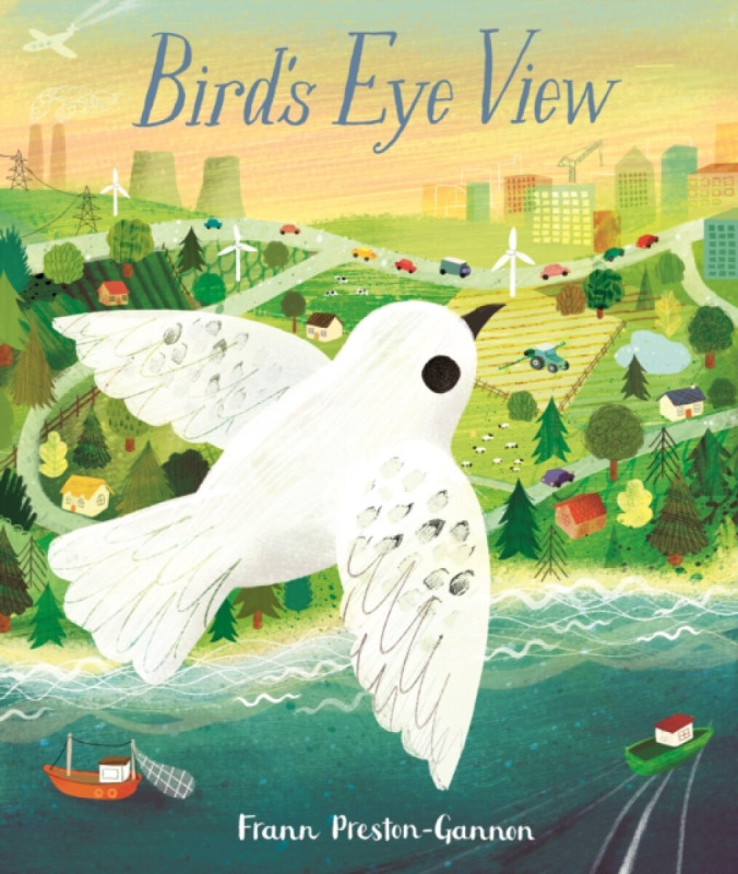 Bird's Eye View - Frann Preston-Gannon