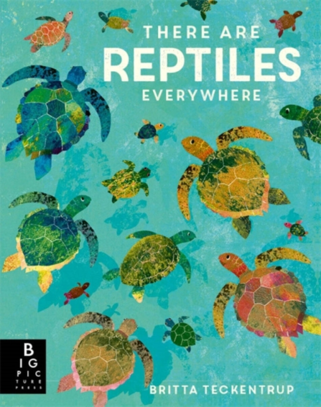 There are Reptiles Everywhere - Camilla De La Bedoyere - kniha z kategorie Naučné knihy