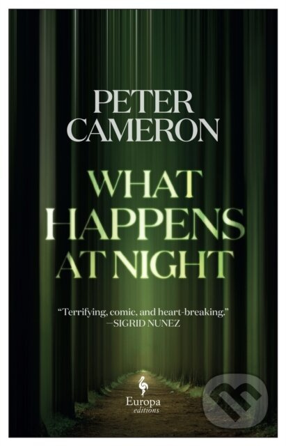 What Happens at Night - Peter Cameron - kniha z kategorie Společenská beletrie