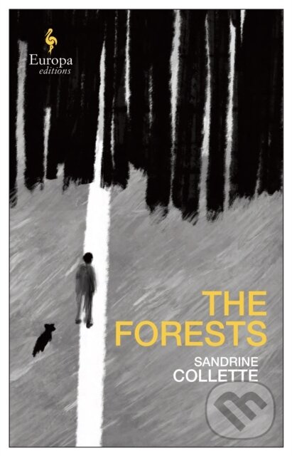 The Forests - Sandrine Collette - kniha z kategorie Společenská beletrie