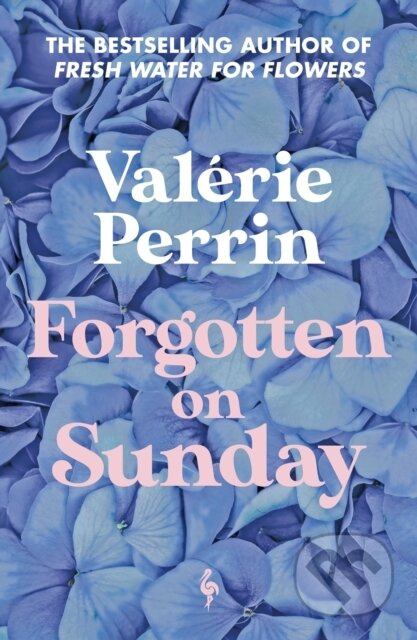 Forgotten on Sunday - Valérie Perrin - kniha z kategorie Společenská beletrie
