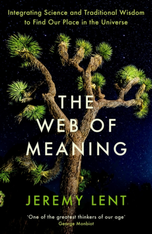 The Web of Meaning - Jeremy Lent - kniha z kategorie Filozofie