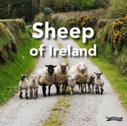 Sheep of Ireland O'Brien Press Ltd