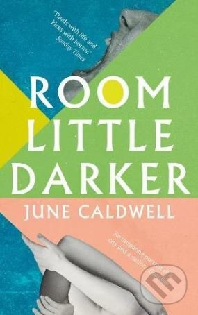 Room Little Darker - June Caldwell - kniha z kategorie Beletrie