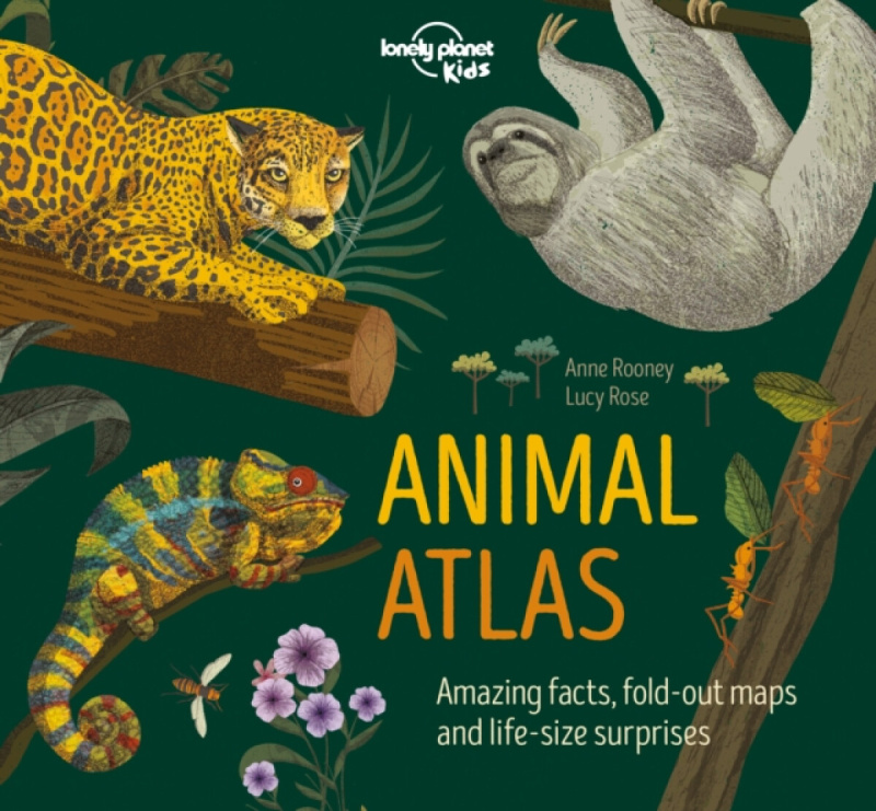 Animal Atlas - Anne Rooney, Lucy Rose (ilustrácie) - kniha z kategorie Naučné knihy