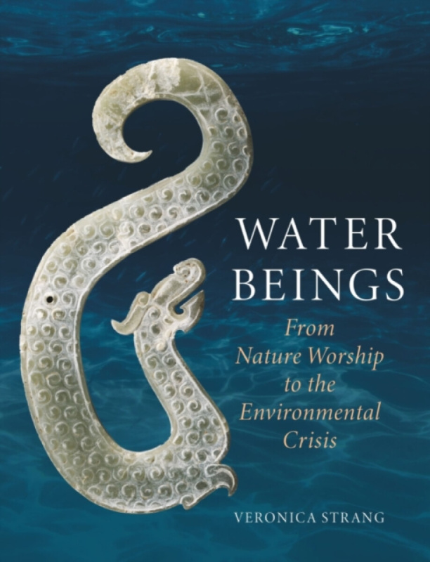 Water Beings â€“ From Nature Worship to the Environmental Crisis - Veronica Strang