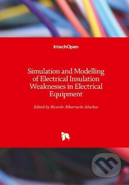 Simulation and Modelling of Electrical Insulation Weaknesses in Electrical Equipment - kniha z kategorie Přírodní vědy a technika