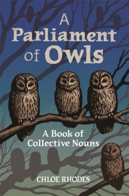 A Parliament of Owls (A Book of Collective Nouns) - Chloe Rhodes - kniha z kategorie Jazykové učebnice a slovníky