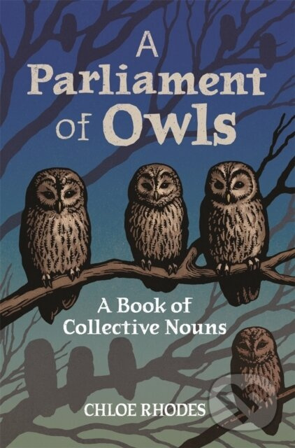 A Parliament of Owls (A Book of Collective Nouns) - Chloe Rhodes - kniha z kategorie Jazykové učebnice a slovníky